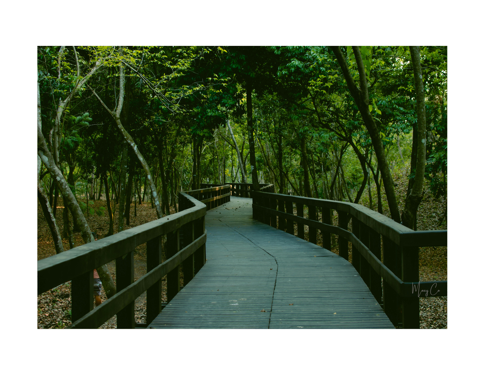 Much like a bridge, access to the right tools, resources, and support can close a gap, shorten the journey between point A and point B, and make something difficult feel doable. 