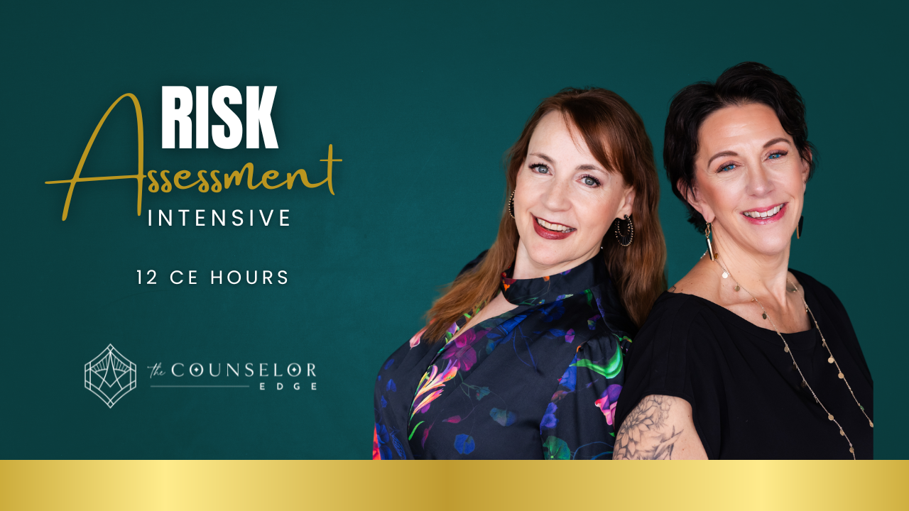 Product image for Risk Assessment Intensive
