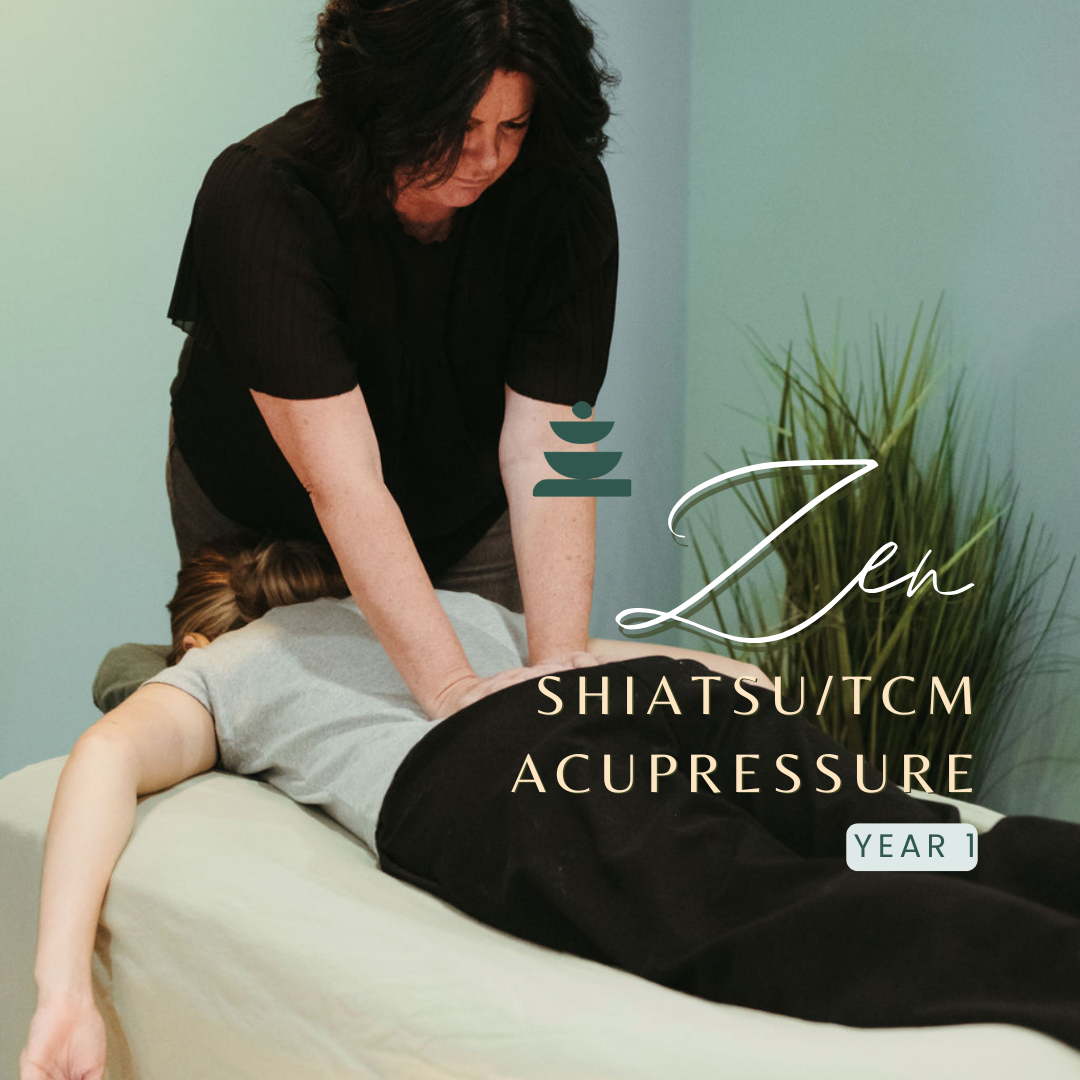 Product image for ZEN Shiatsu/TCM Acupressure Program Year 1
