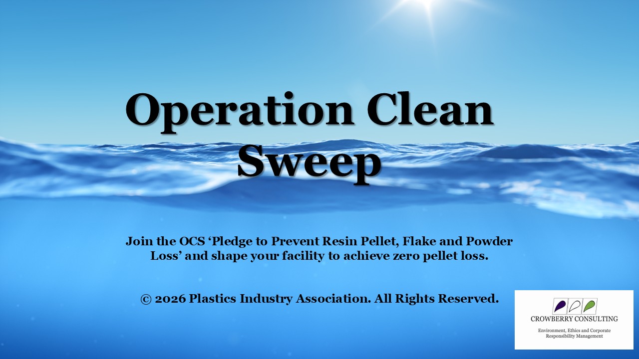 Product image for Operation Clean Sweep Introduction and Foundation