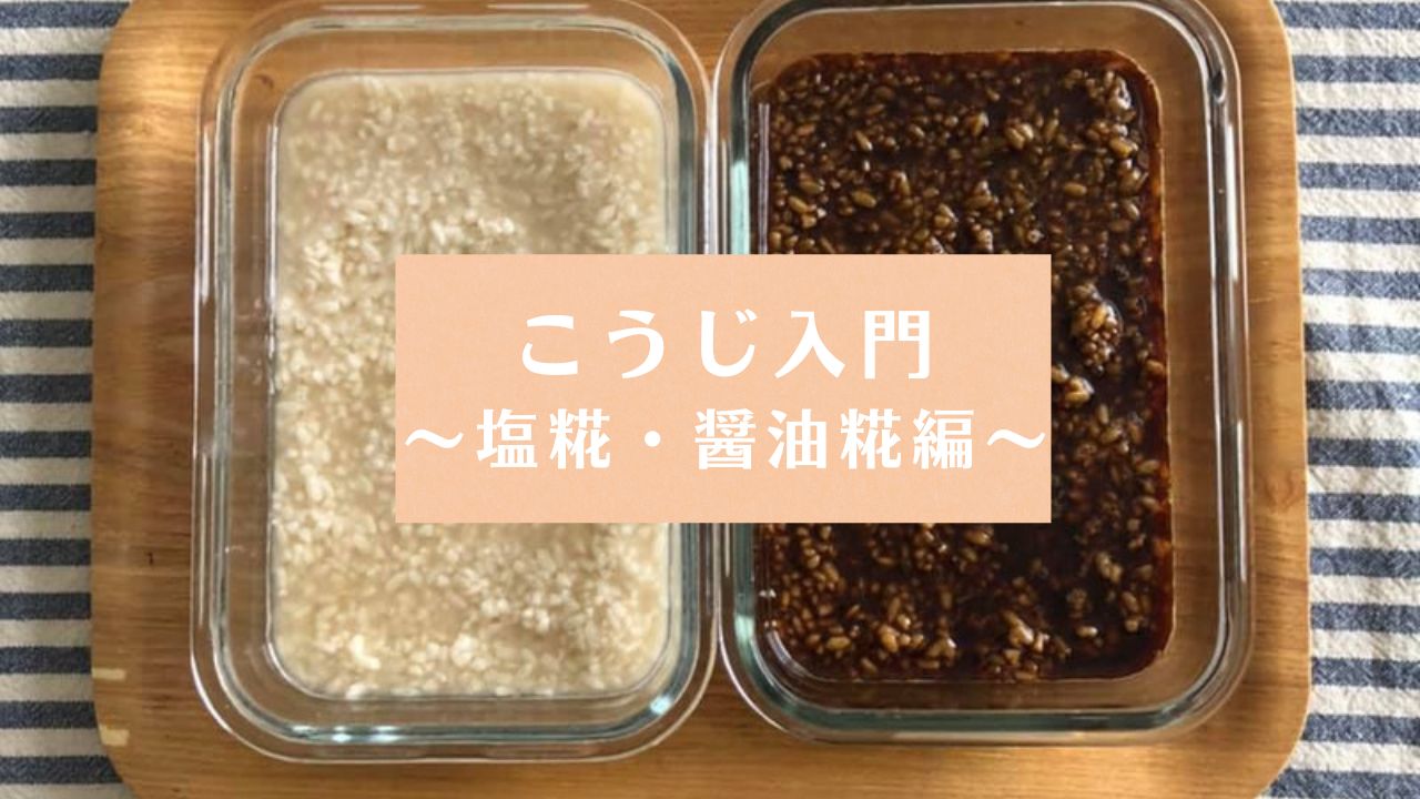 Product image for 糀入門〜塩糀・醤油糀編〜