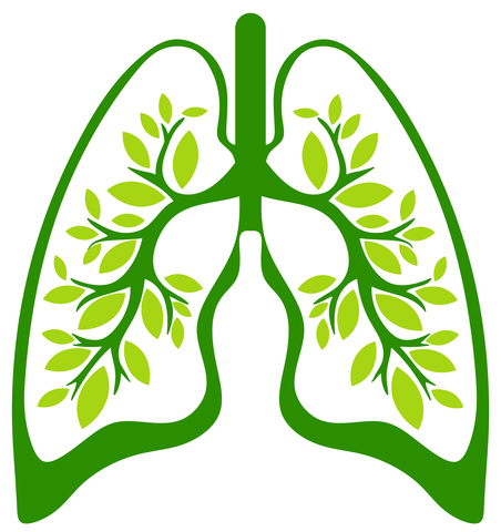 Product image for Lung Health