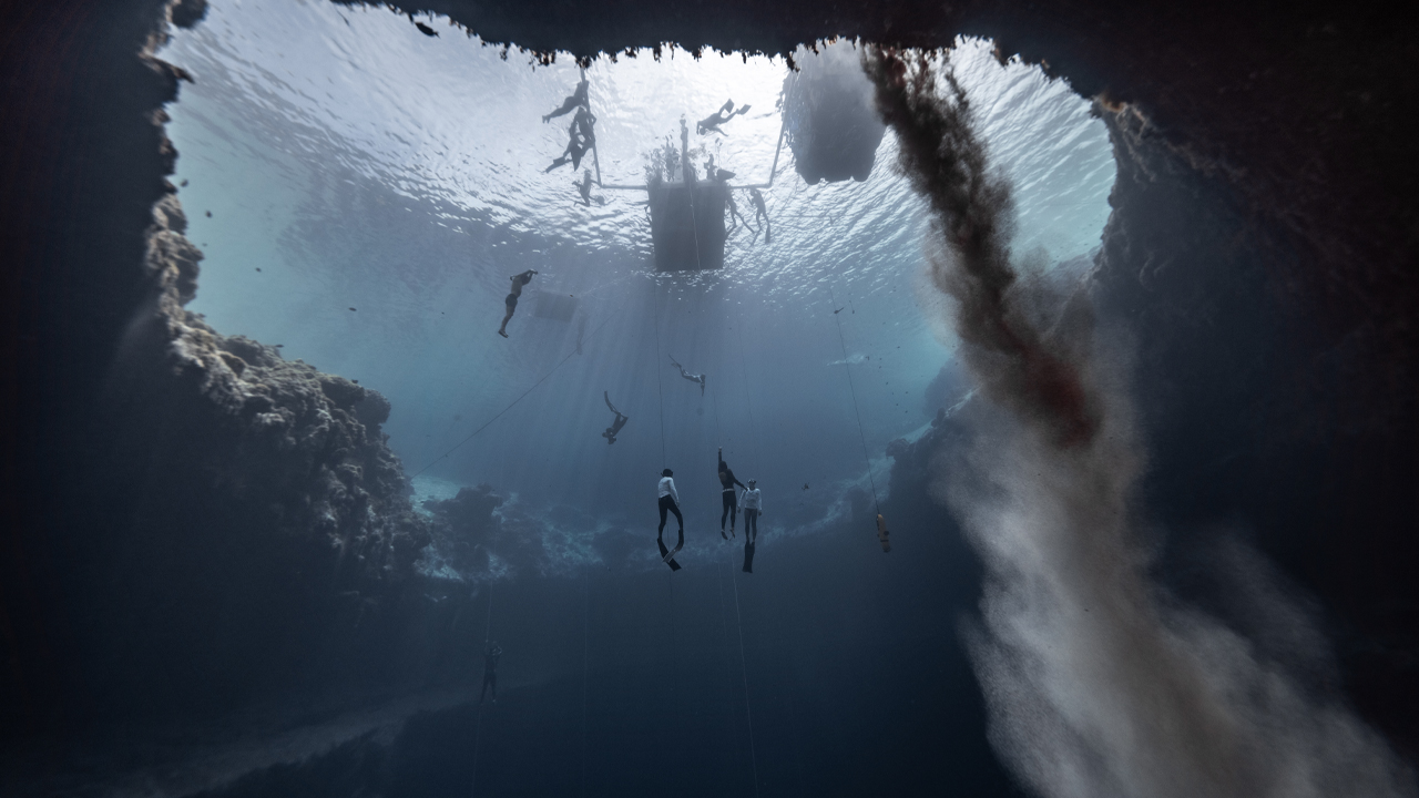 Product image for Free Immersion Masterclass