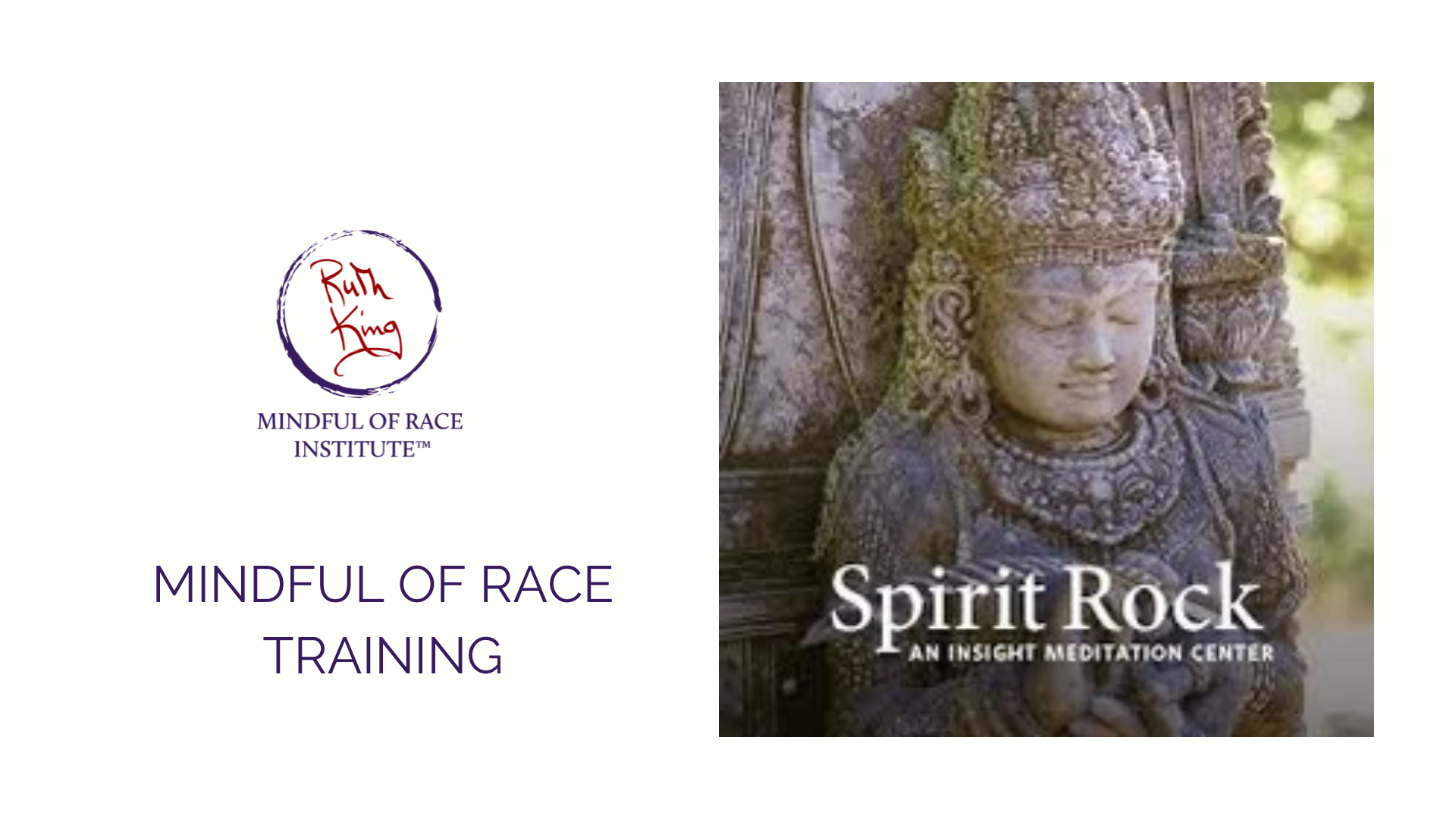 Product image for Spirit Rock - Mindful of Race Training 