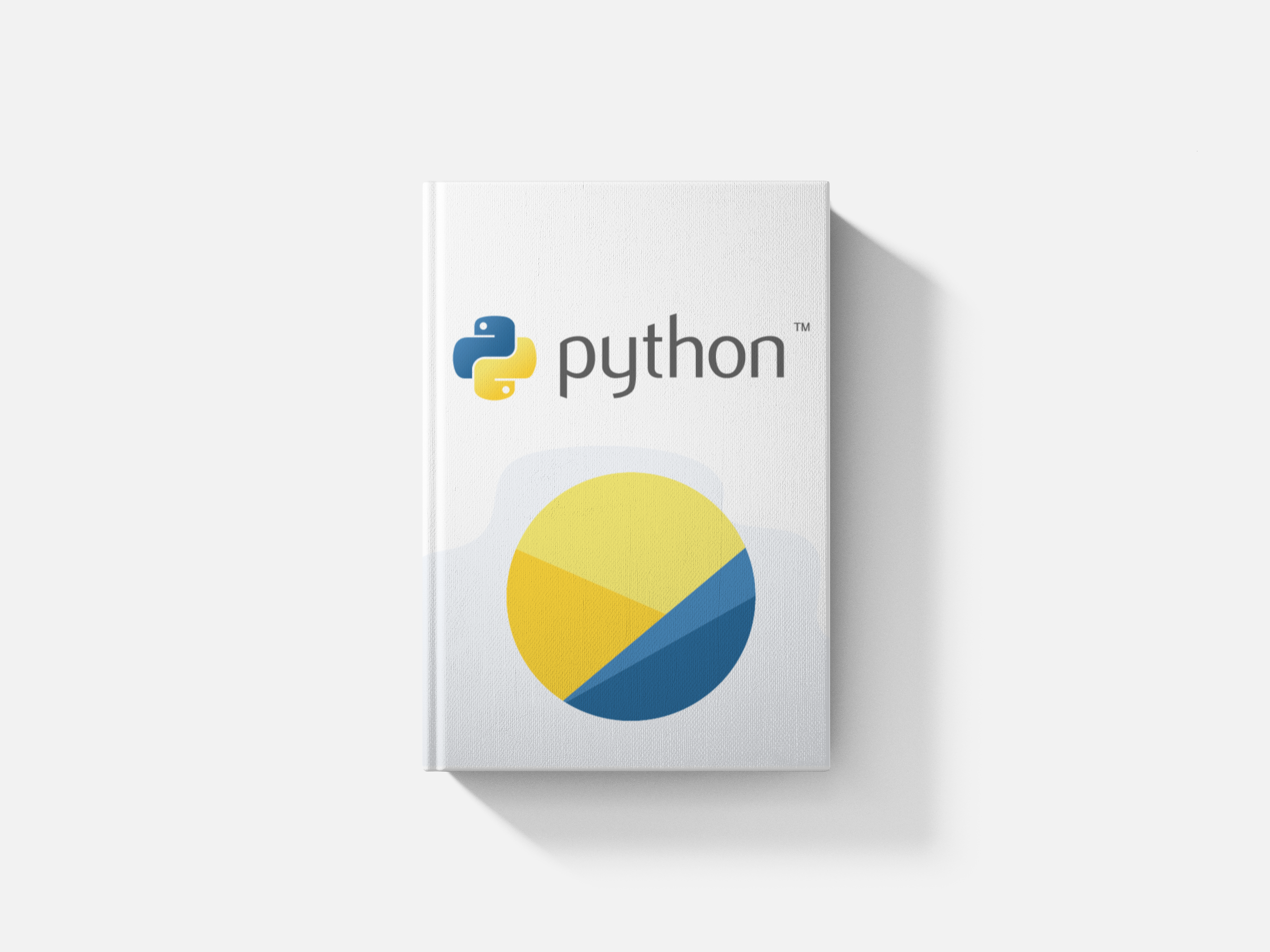 Product image for Python: The Professional Guide for Beginners