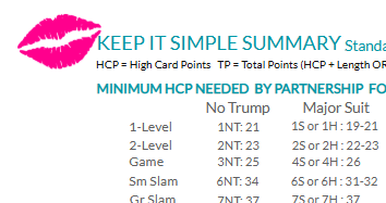 Product image for Keep It Simple Summary for Novices