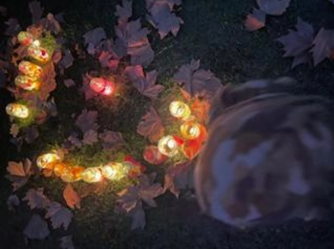Product image for Winter Solstice