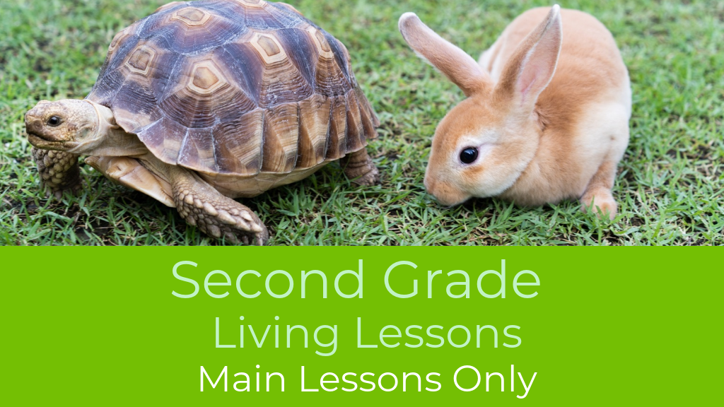 Product image for G2: Second Grade Waldorf Living Lessons (Main Lessons)