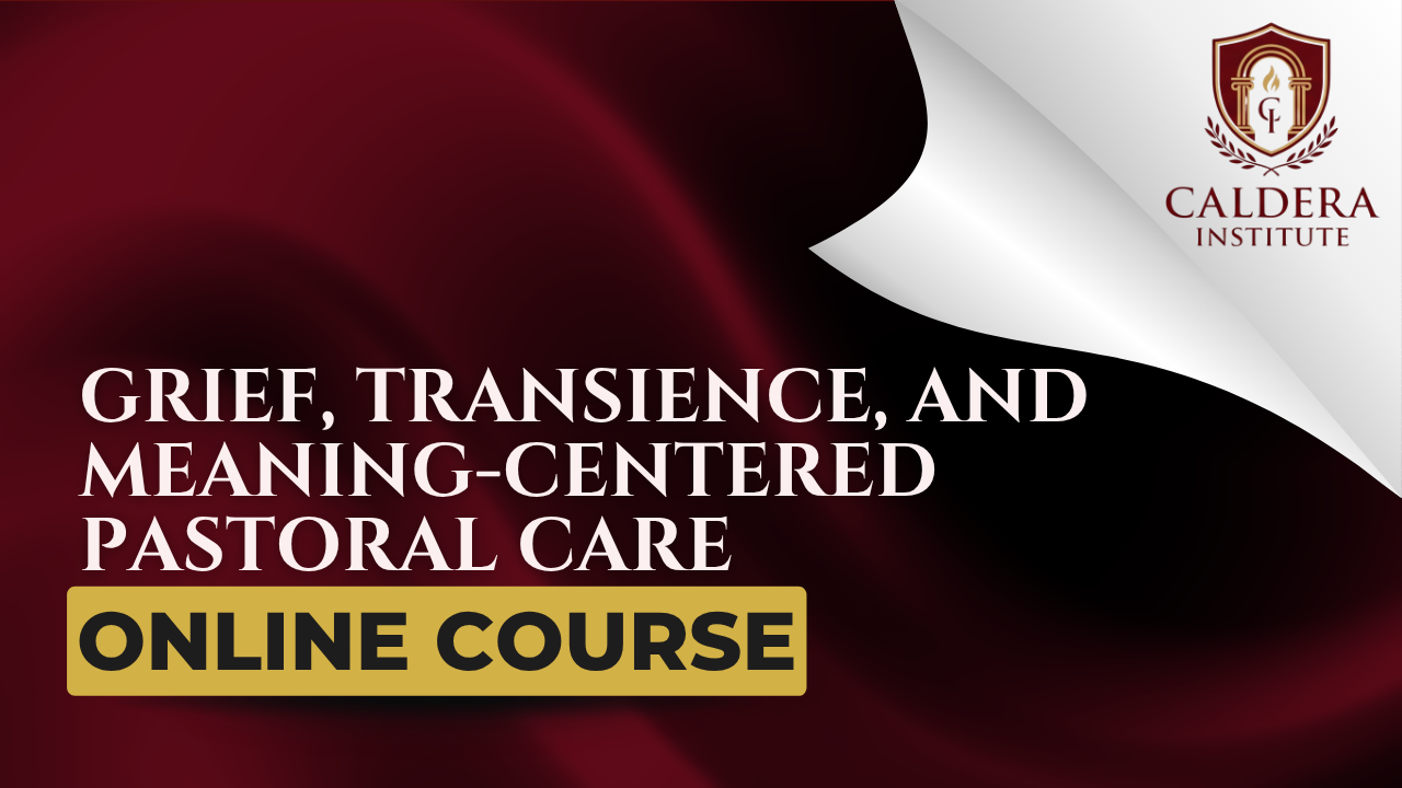 Product image for Grief, Transience, and Meaning-Centered Pastoral Care