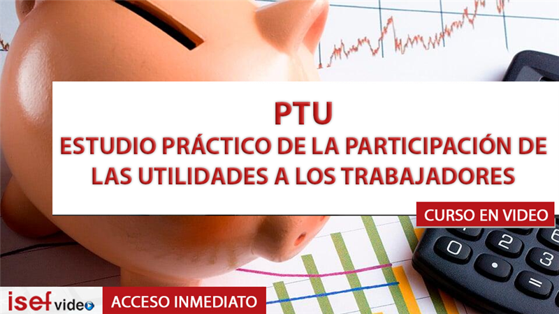 Imagen de producto para ESTUDIO PRÁCTICO DE LA PARTICIPACIÓN DE LAS UTILIDADES A LOS TRABAJADORES (PTU) 