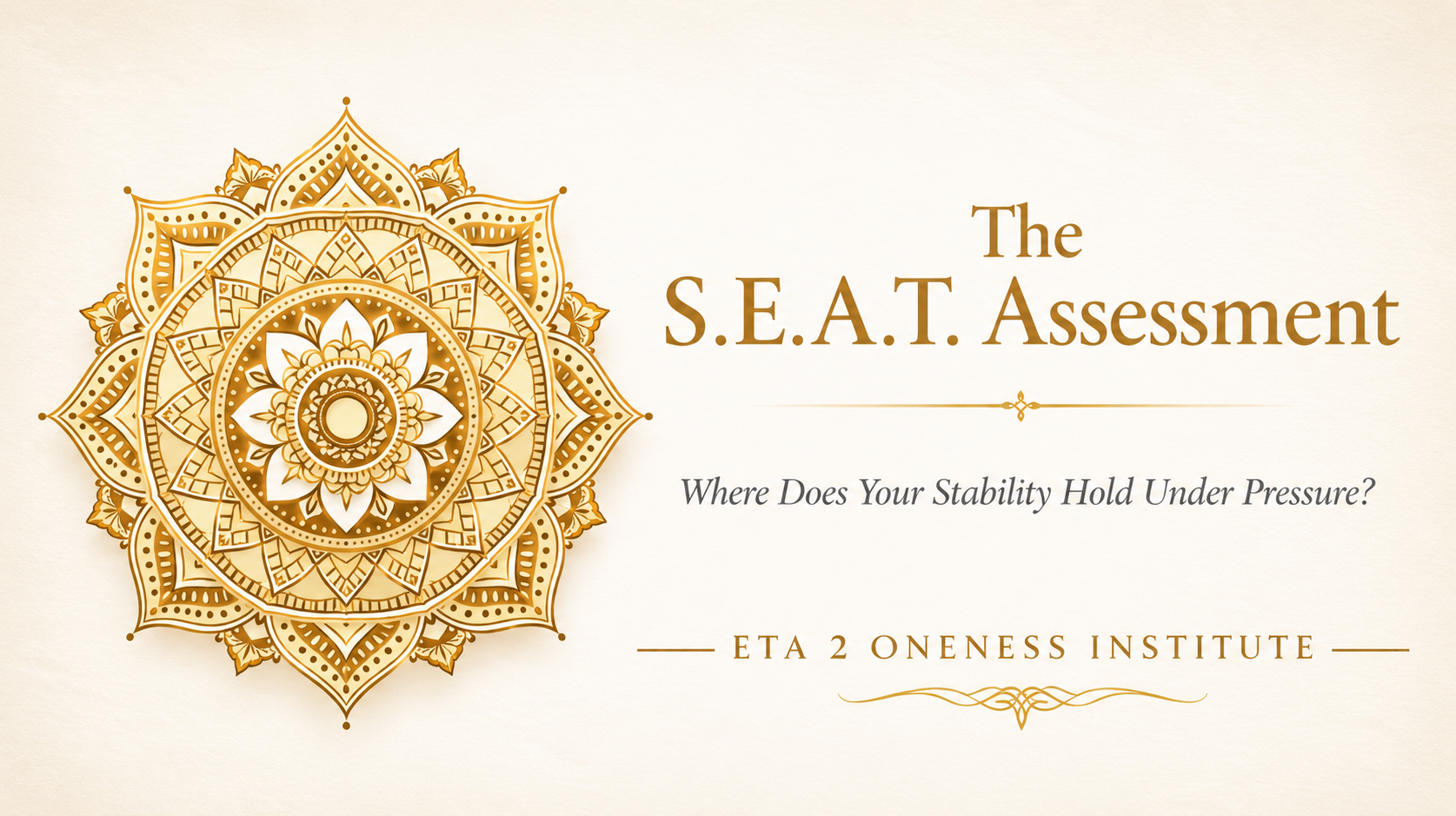 Product image for The S.E.A.T. Assessment