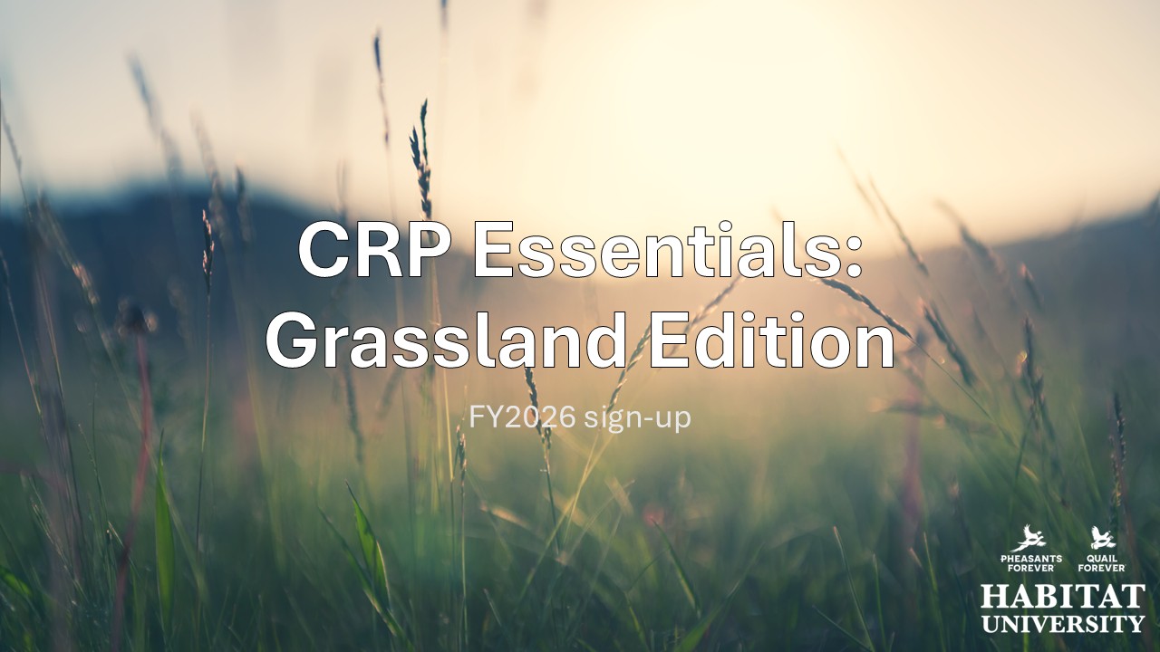 Product image for CRP Essentials: Grassland Edition