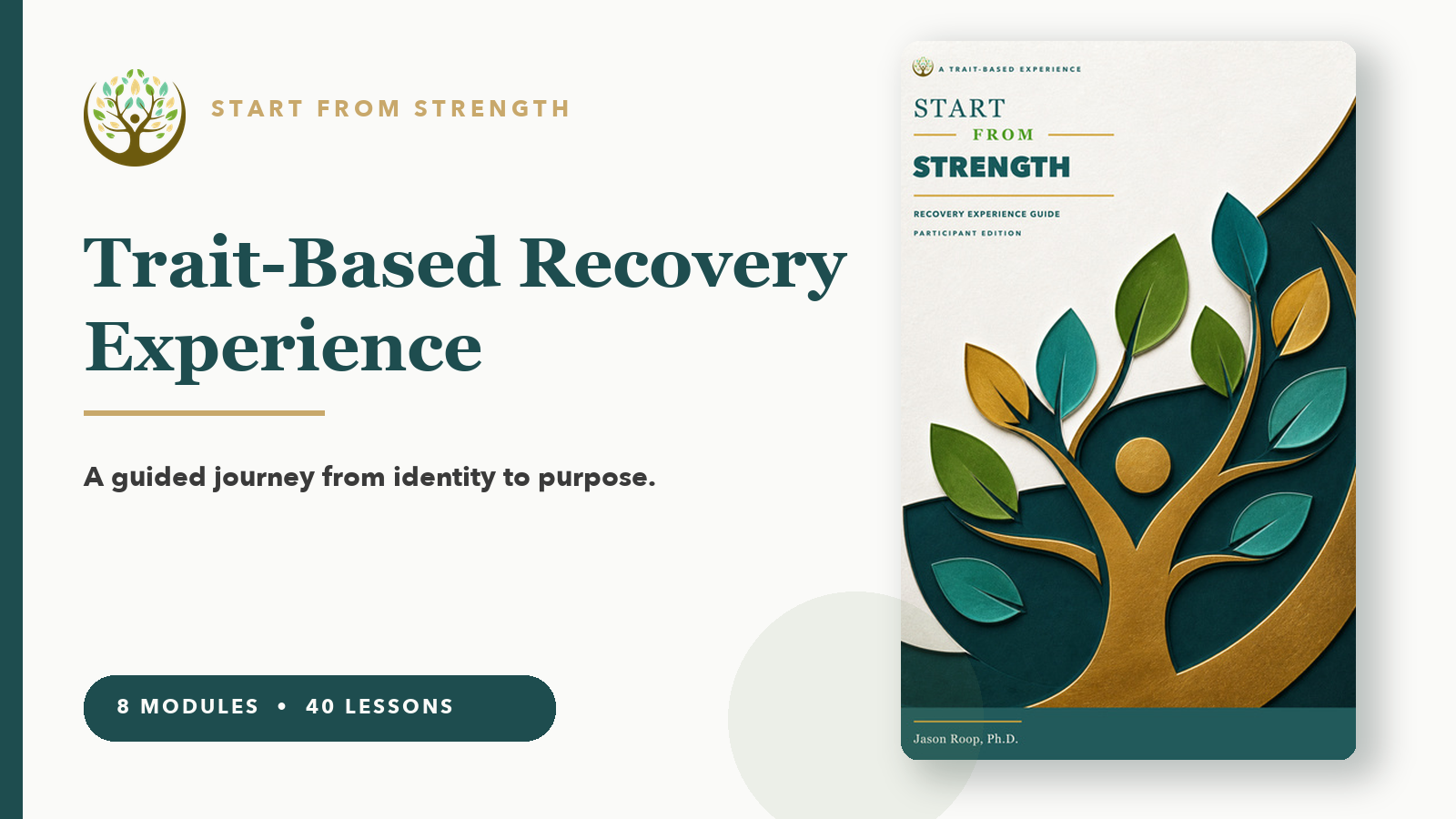 Product image for Start from Strength: Recovery Experience