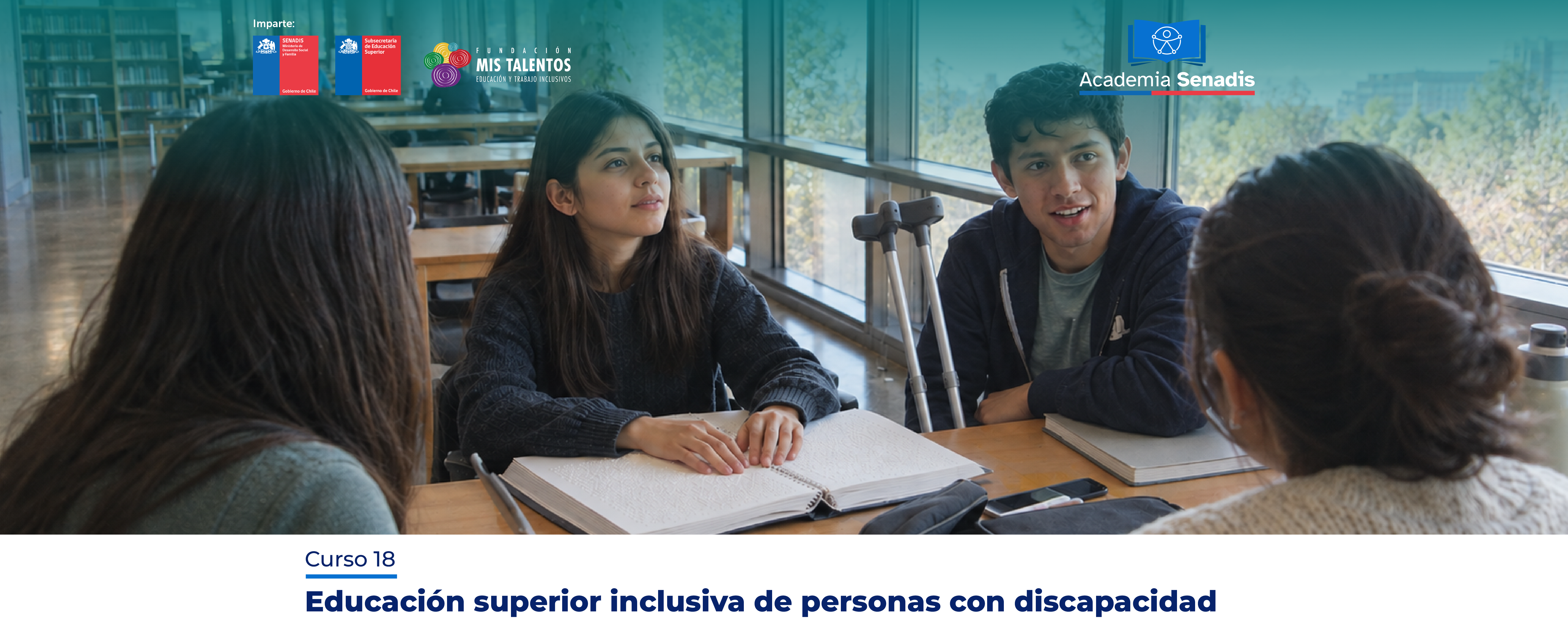 Texto Curso educación superior inclusiva de personas con discapacidad