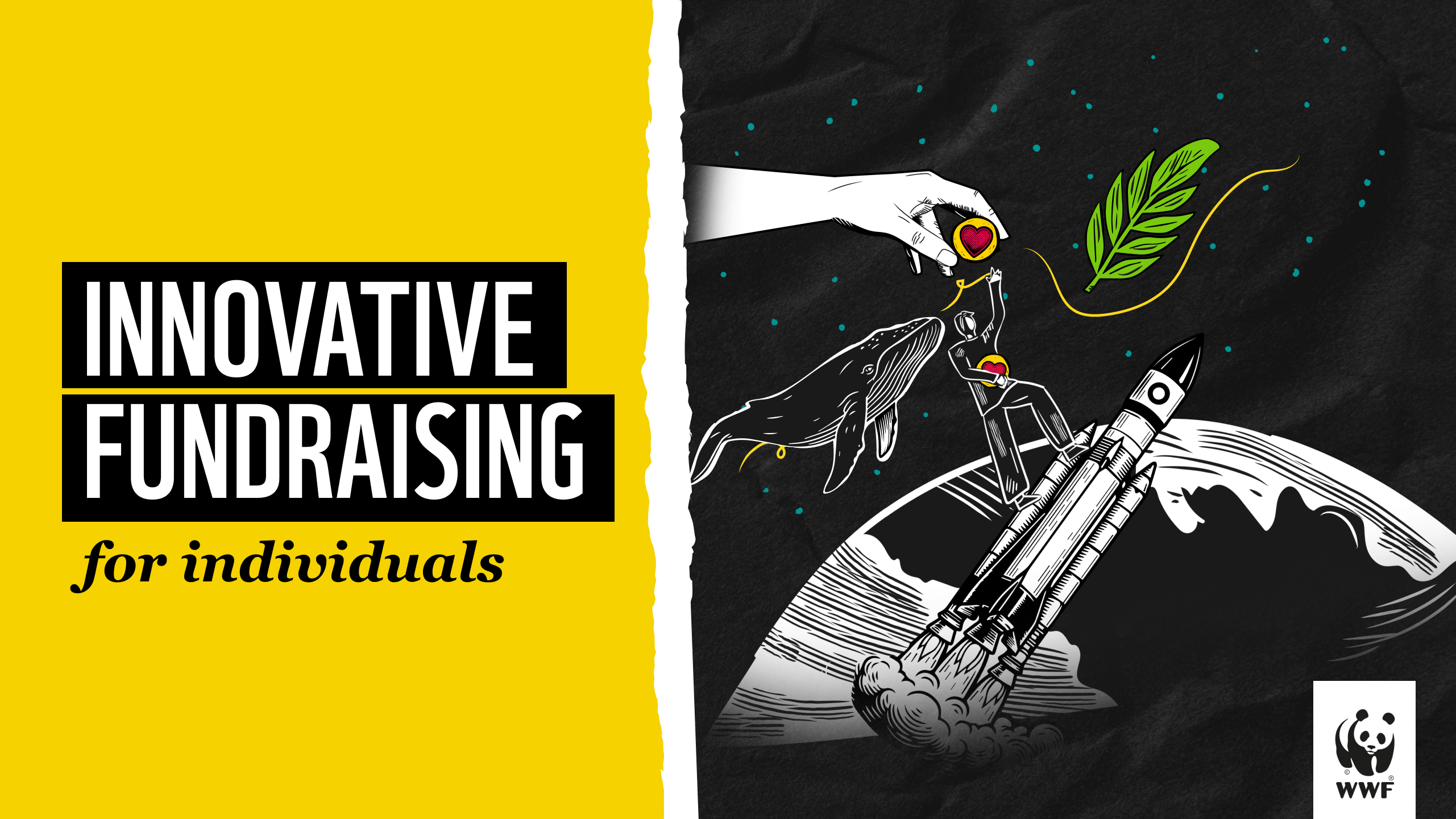 Product image for Innovative Fundraising | Fundraising for Individuals