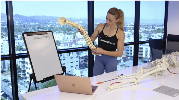 Product image for The Trunk and Spine Series (7 NPCP CECs)