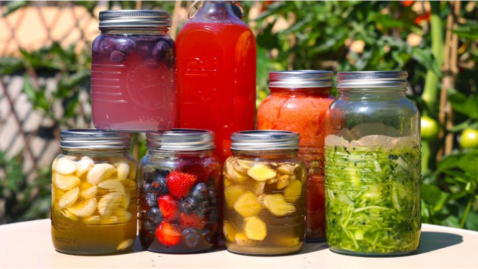 Product image for Gardener's Guide to Fermentation