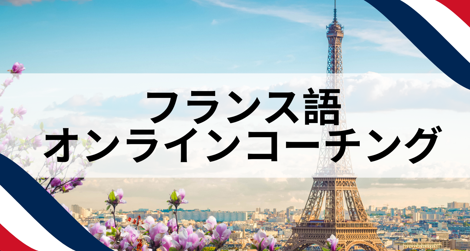 Product image for フランス語コーチング