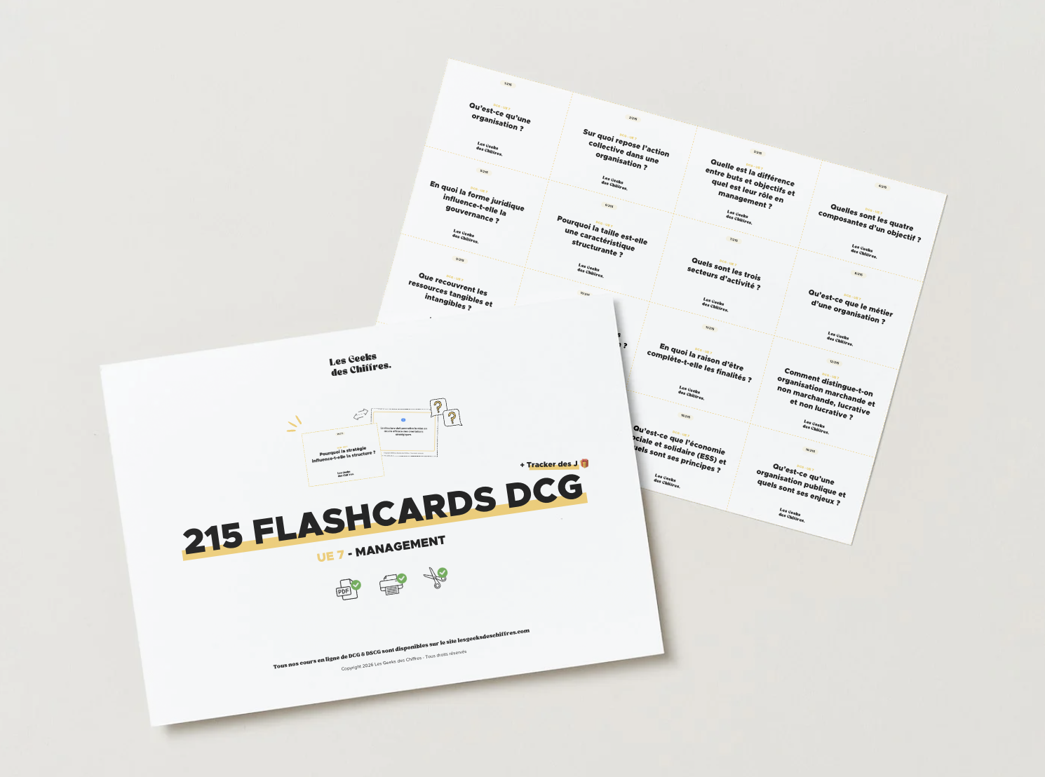 Image du produit pour 215 flashcards DCG : UE 7 Management