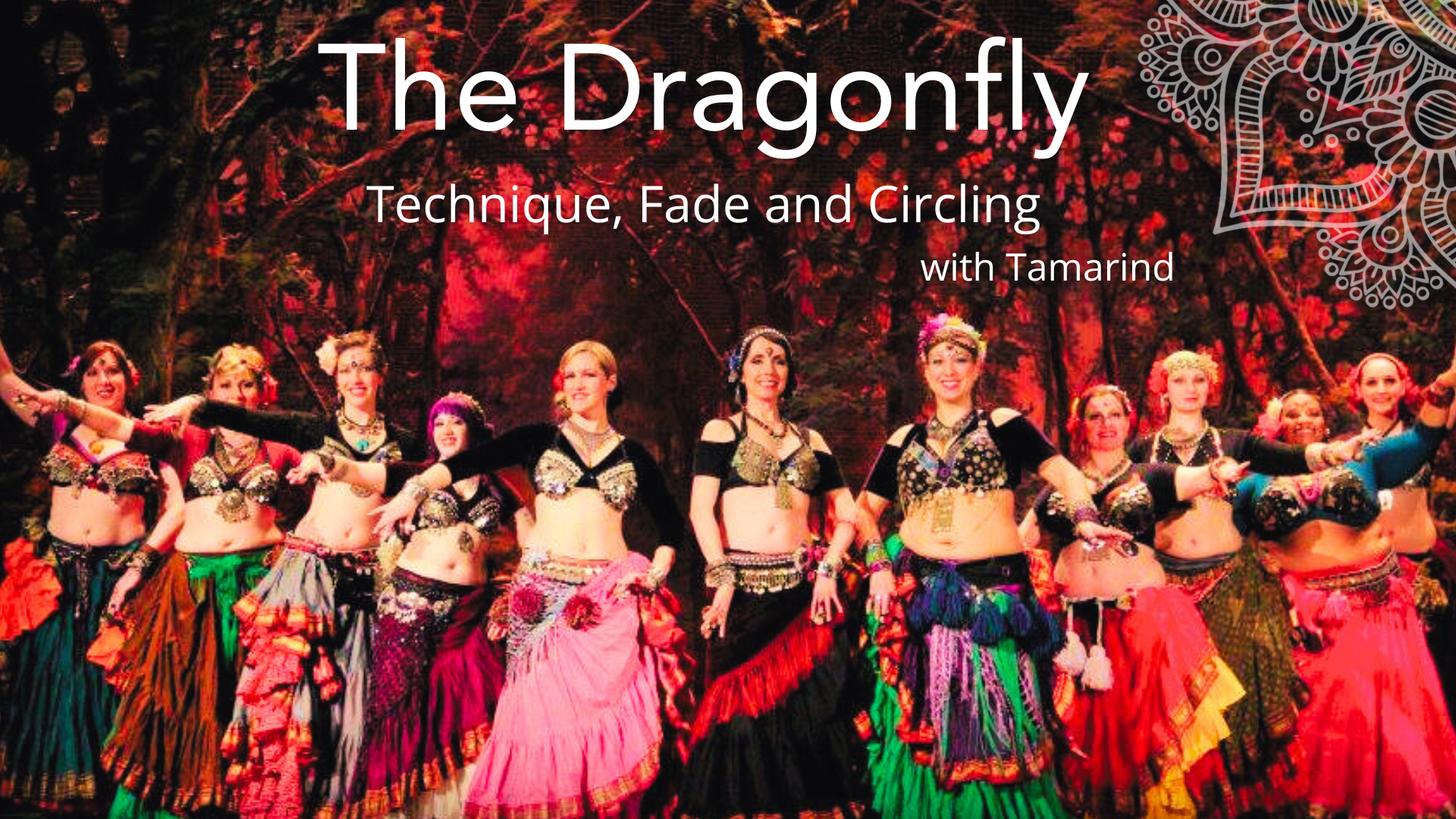 Product image for The DragonFly
