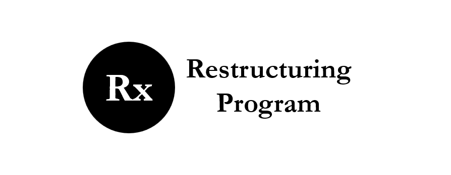 Product image for The Restructuring Program