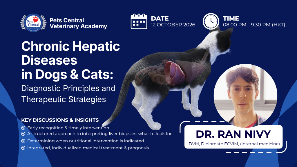 Product image for Dr. Ran Nivy Lecture 4: Chronic Hepatic Diseases in Dogs & Cats: Diagnostic Principles and Therapeutic Strategies