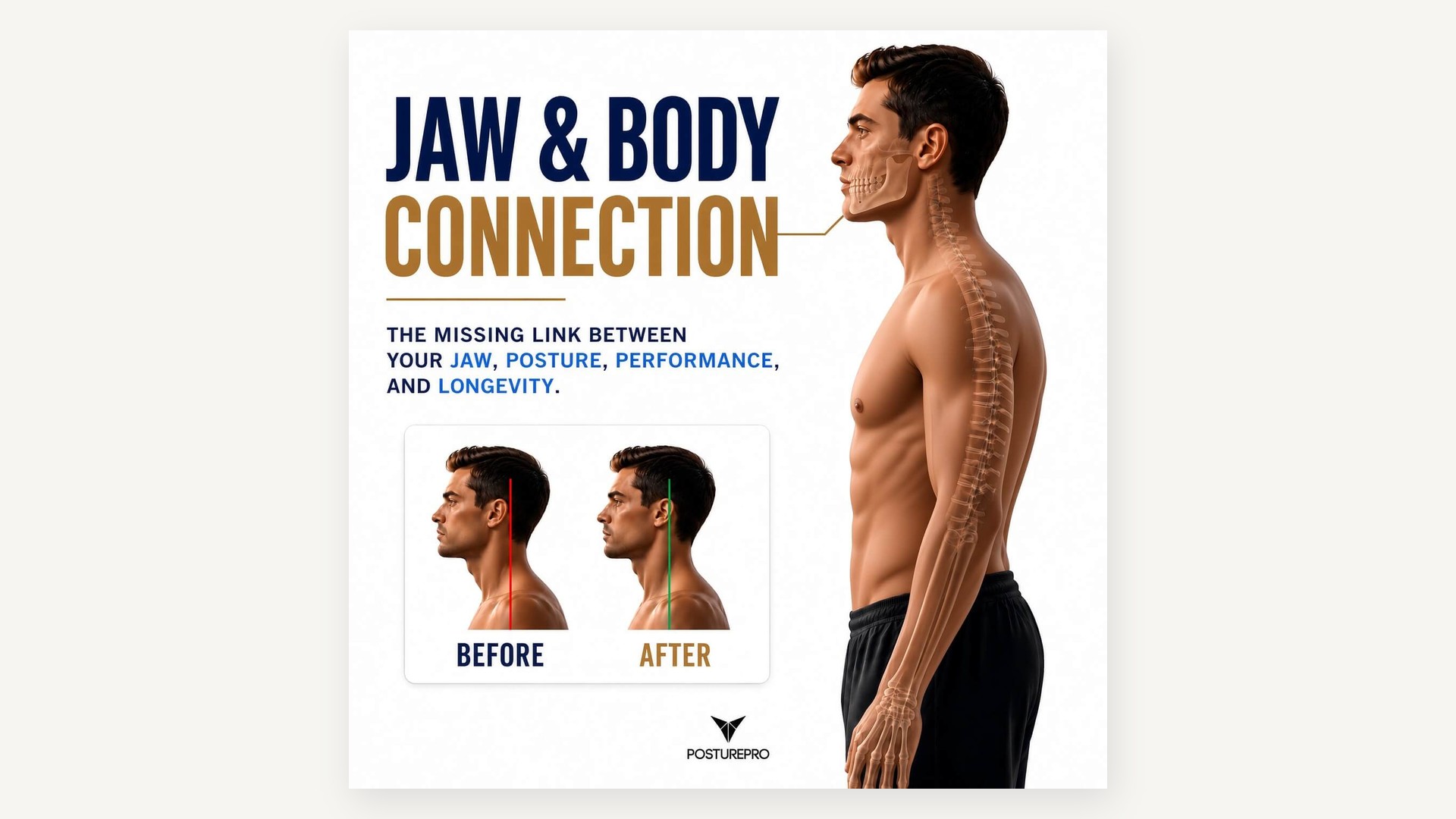 Product image for Jaw & Body Connection