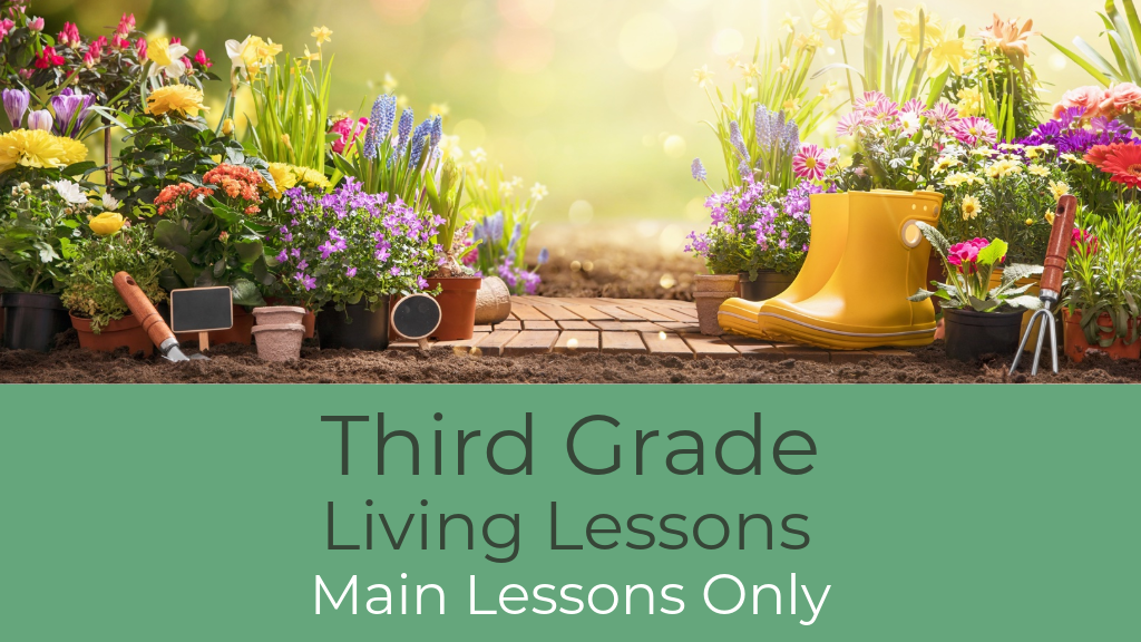 Product image for G3: Third Grade Waldorf Living Lessons (Main Lessons)