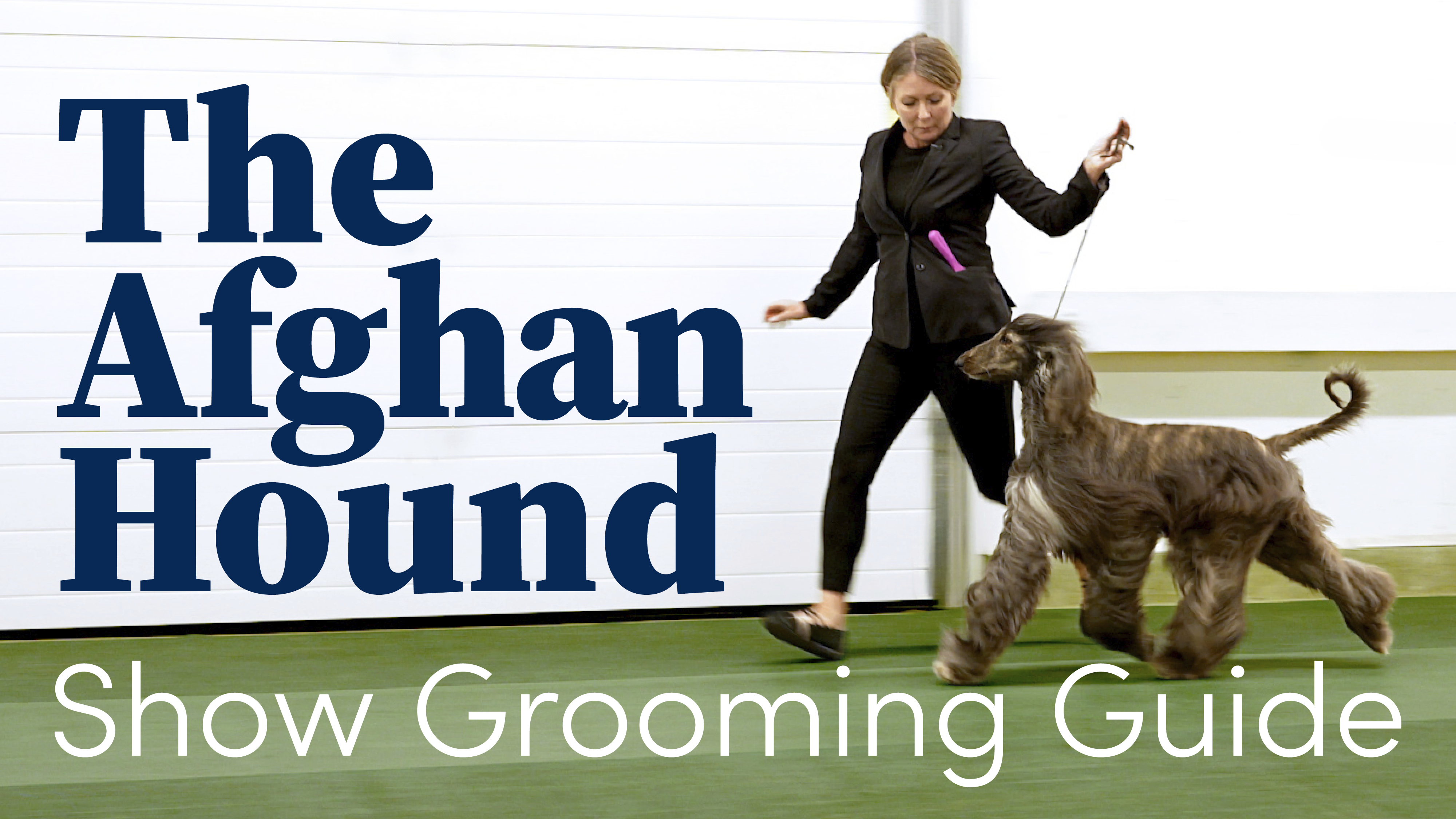 Product image for The Afghan Hound Show Grooming Guide