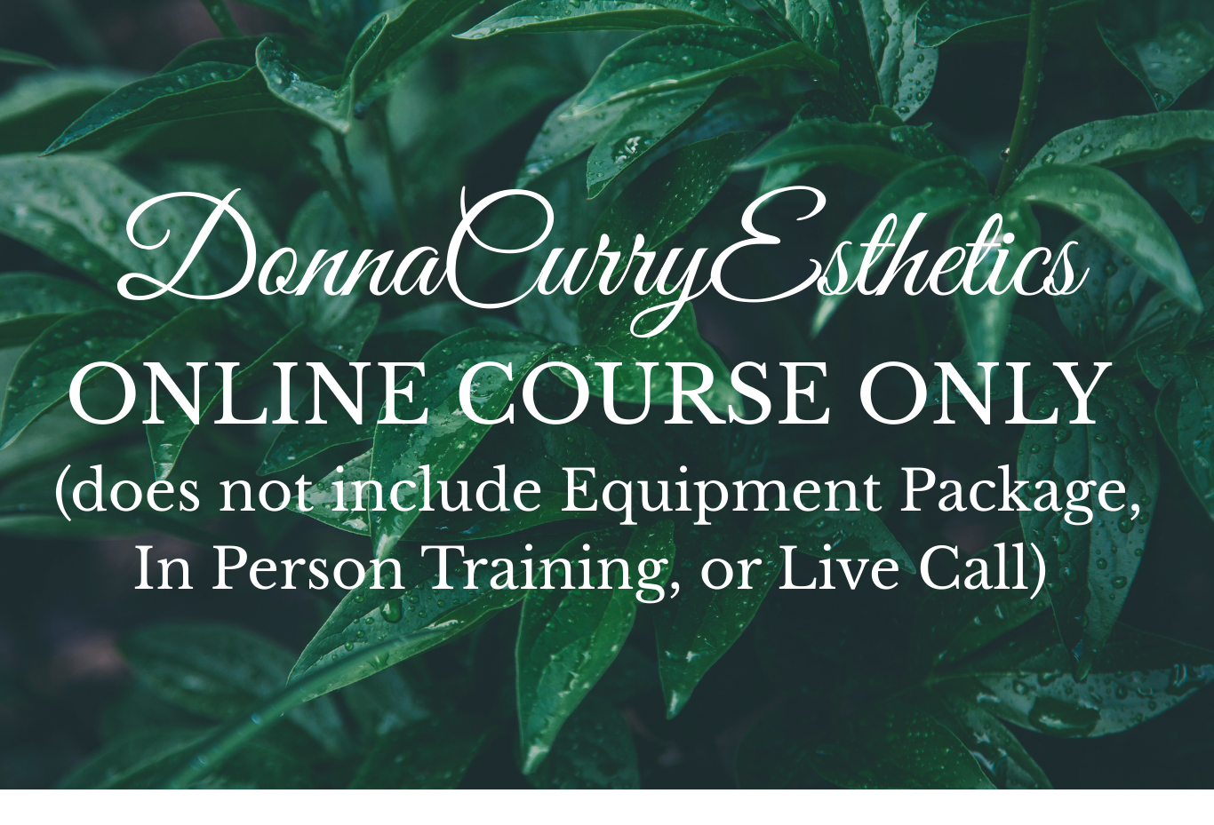 Product image for Spray Tan Training Online Course