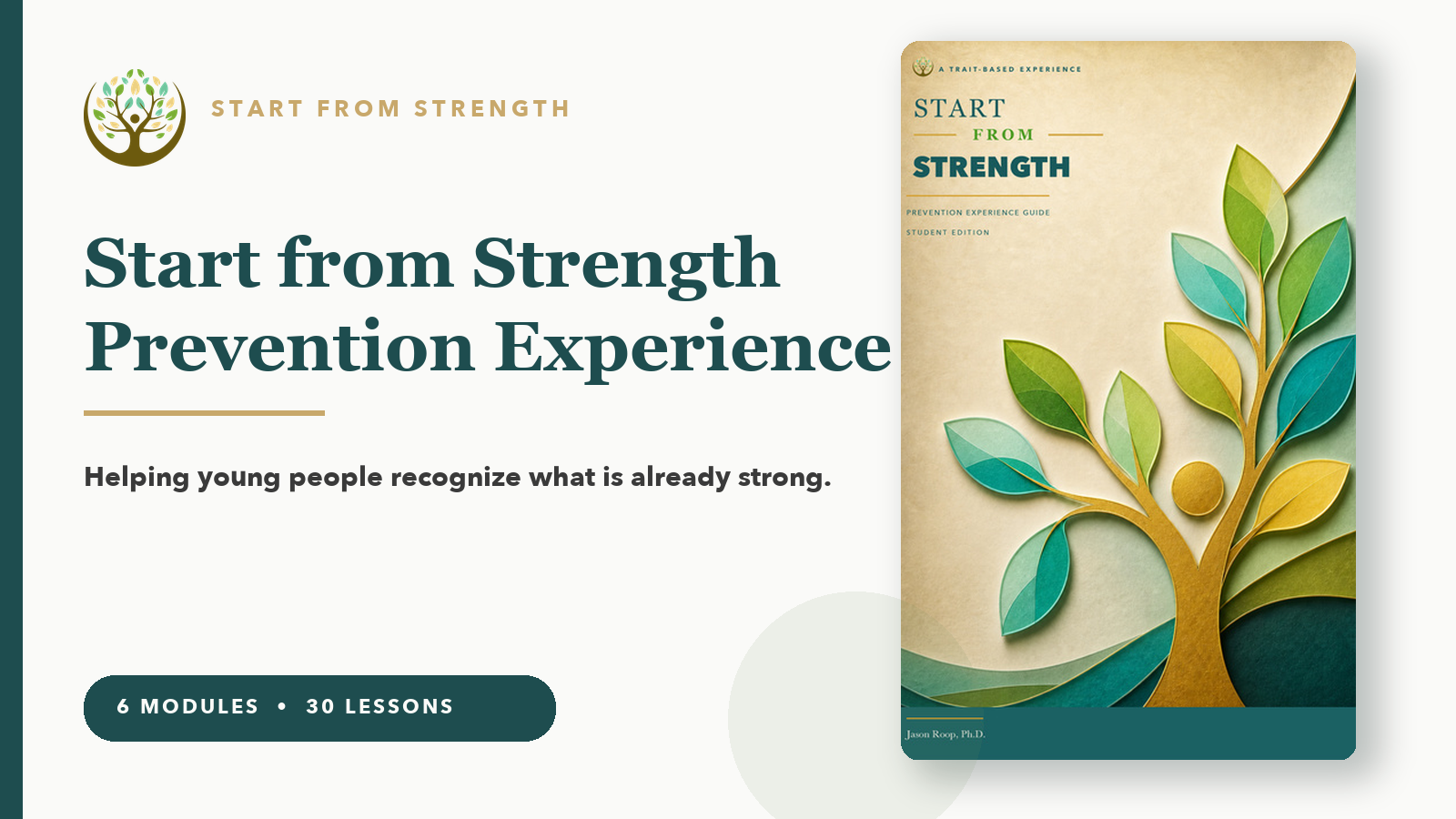 Product image for Start from Strength: Prevention Experience