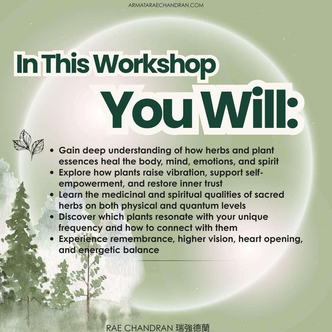 Star Consciousness, 星際意識, DNA, ARMATA Rae Chandran, Rae, 阿爾瑪他, 瑞, 強德蘭新年,傳訊,,課程, New Year Eve, Channeling, surrender, 臣服, Rae Chandran, 瑞強德蘭