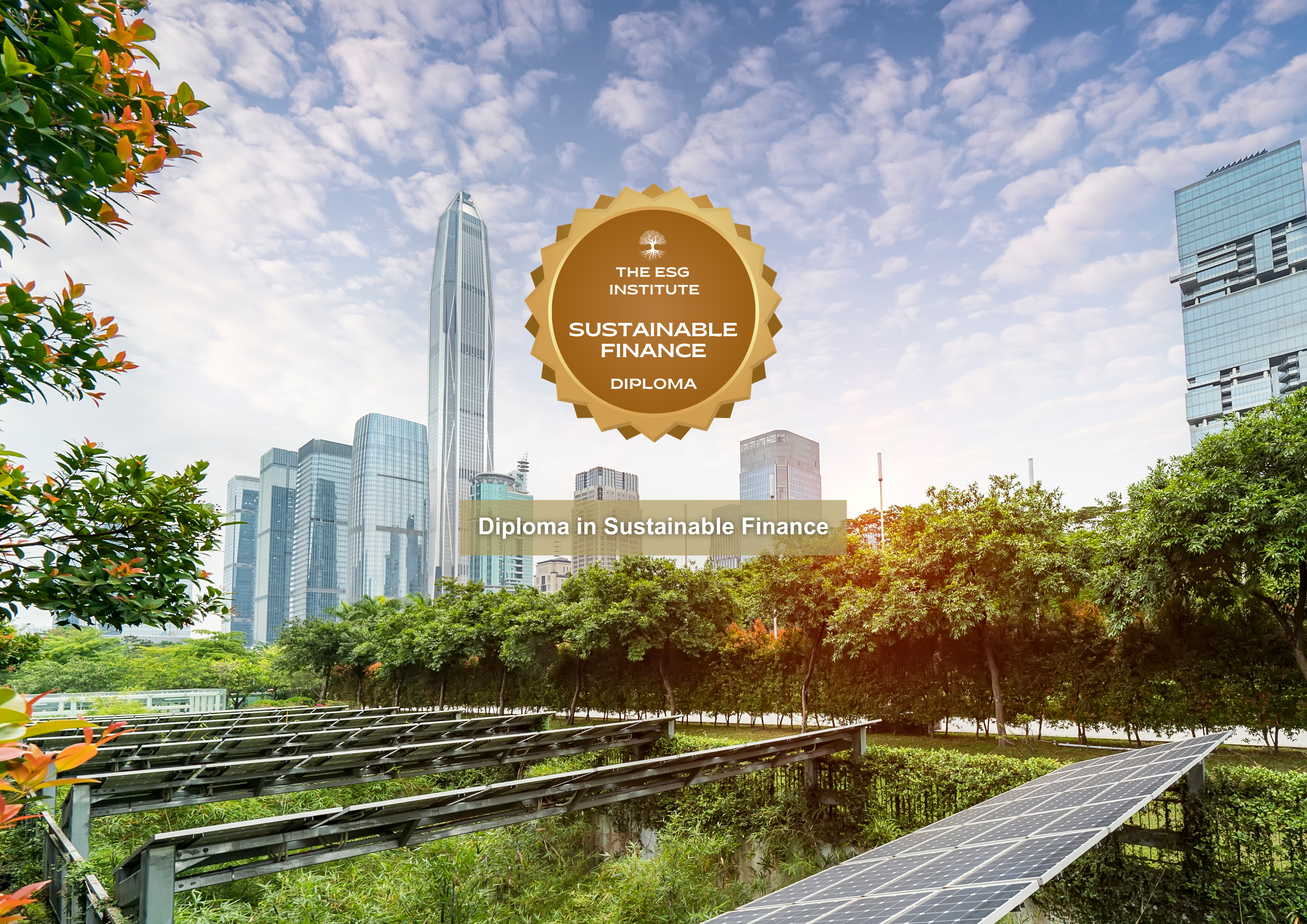 Diploma in Sustainable Finance