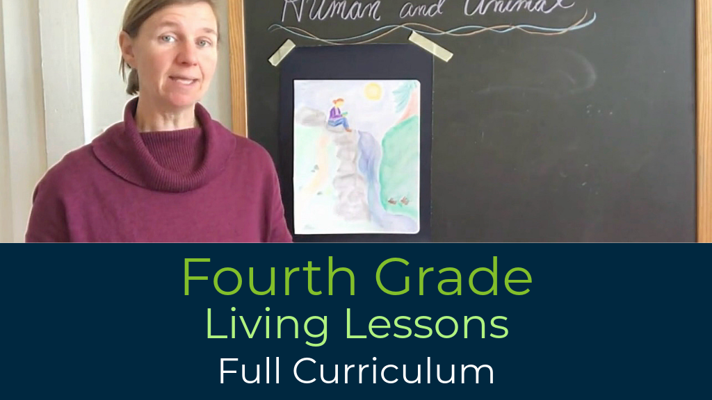 Product image for G4: Fourth Grade Living Lessons FULL CURRICULUM