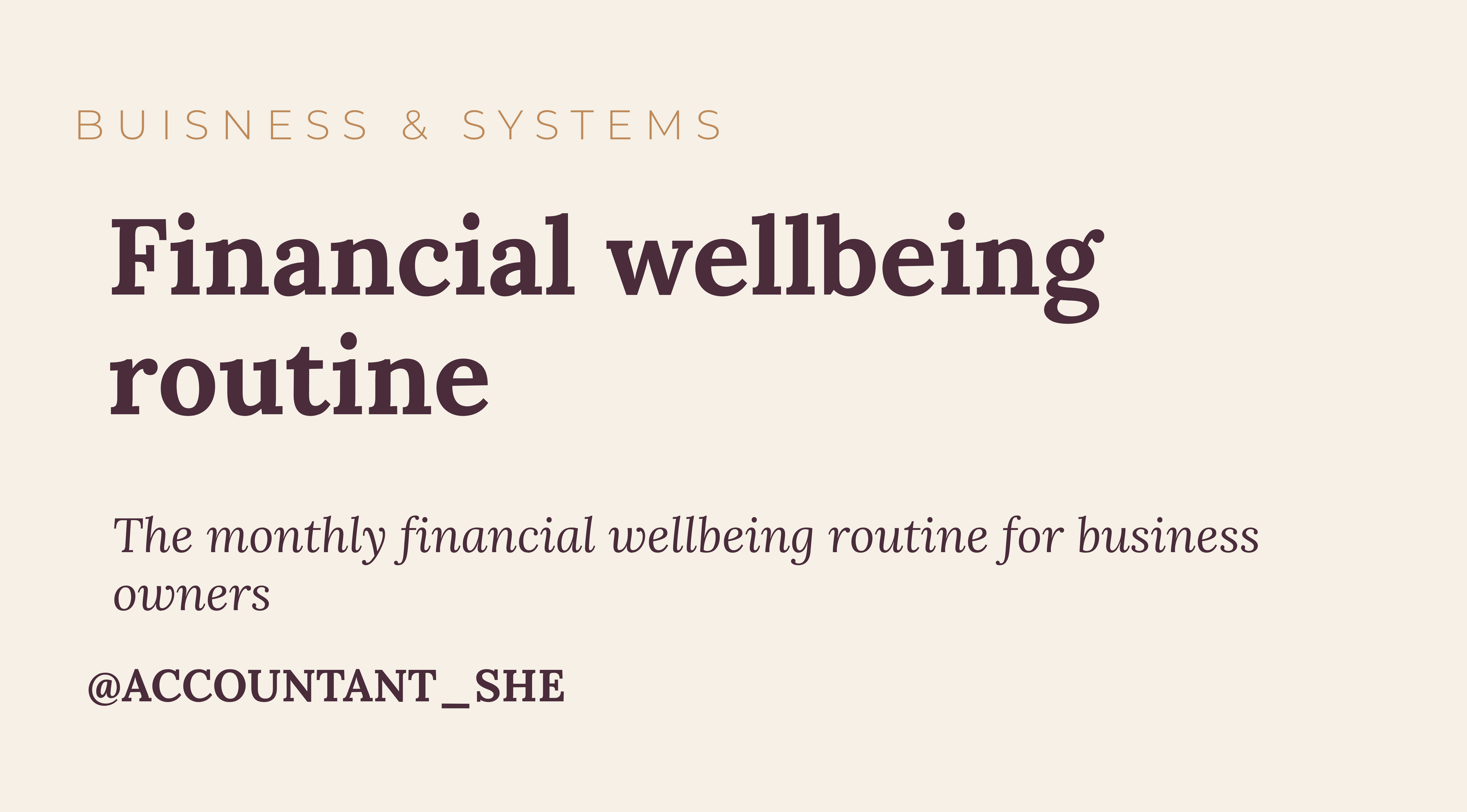 Product image for The financial wellbeing routine for business owners that works