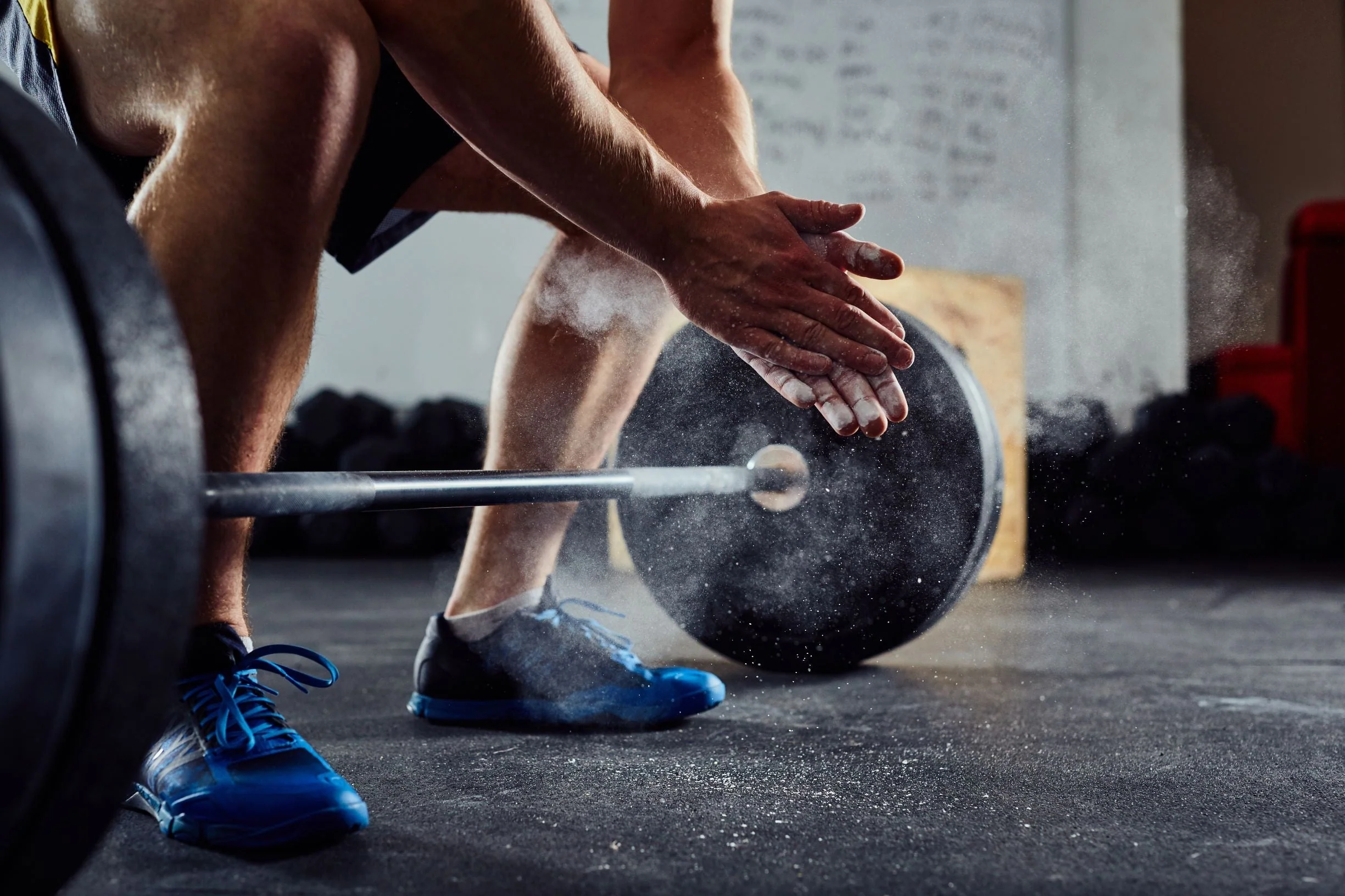 Product image for Weight Training Instructor (Resistance Training Leader)