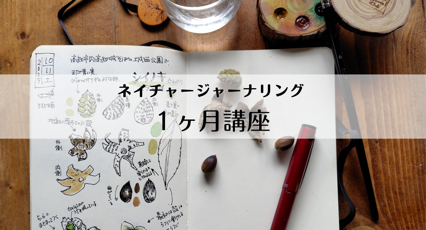 ネイチャージャーナリング１か月講座 の商品画像