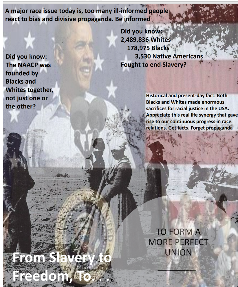 Product image for Black White Synergy USA Assertions