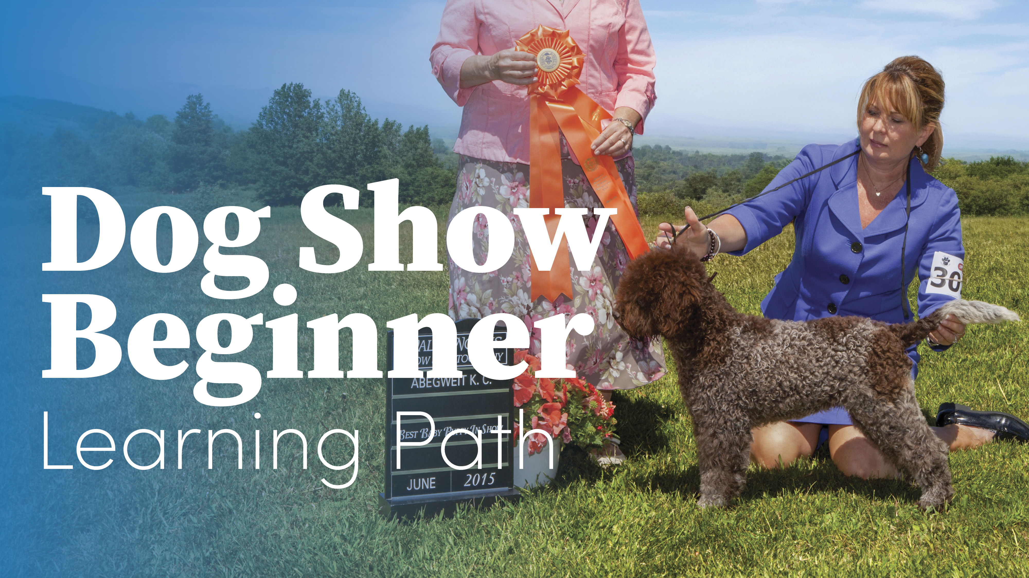 Product image for Dog Show Beginner Learning Path