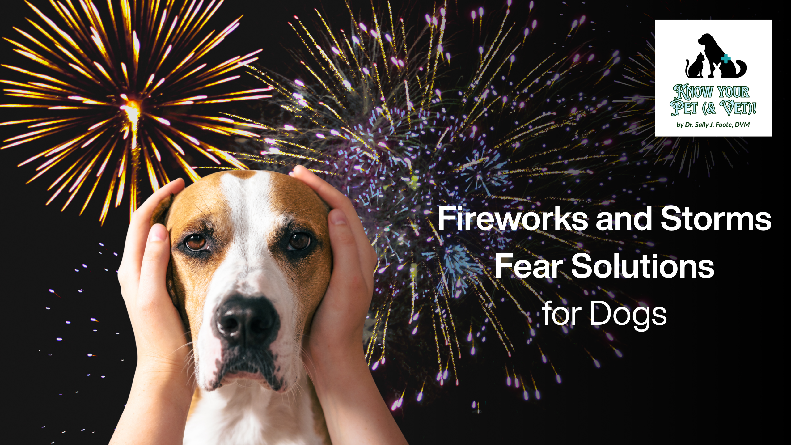 Product image for Fireworks & Storm Fears: How to Help Your Dog and Cat
