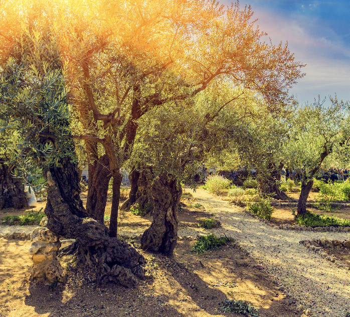 Product image for Jewish-Christian Relations