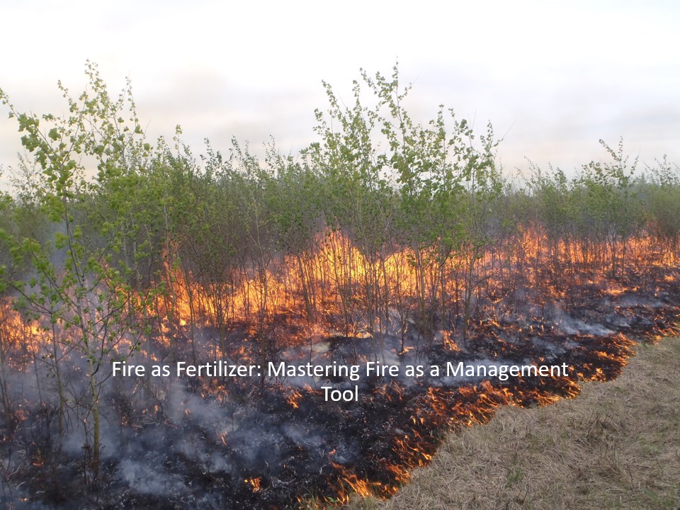 Product image for Fire as Fertilizer: Mastering Fire as a Management Tool