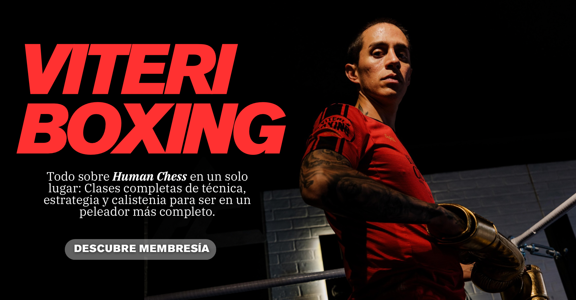 Viteri Boxing: todo sobre el Human Chess en un solo lugar