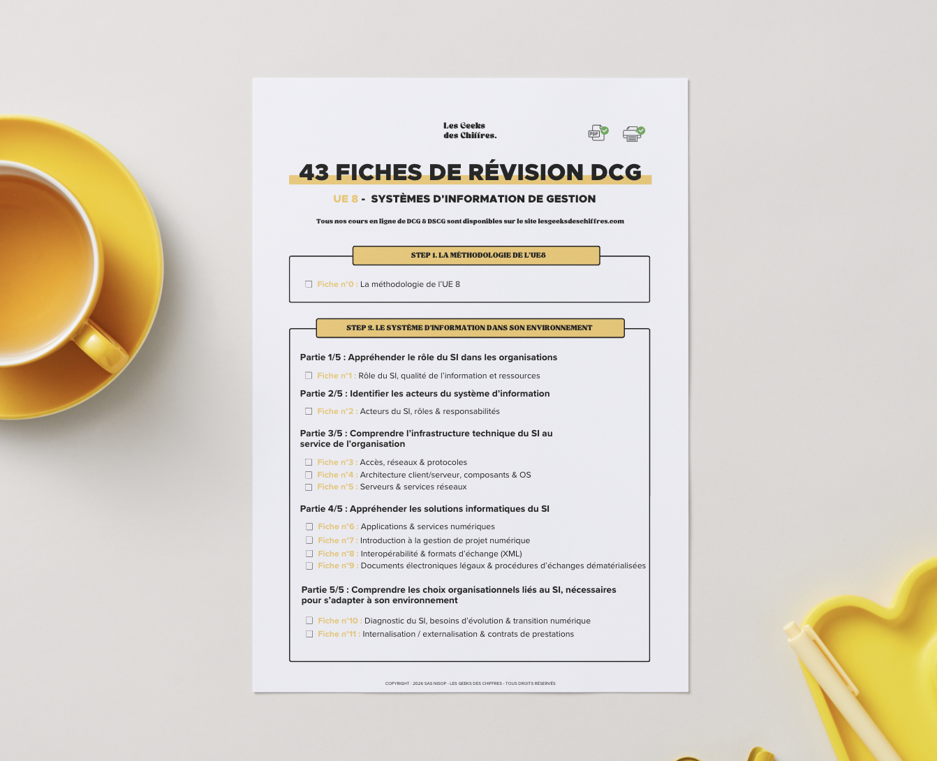 Image du produit pour 43 Fiches de révision - DCG UE8 : SIG