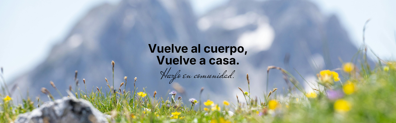 Imagen de producto para SOMÁTICA Comunidad