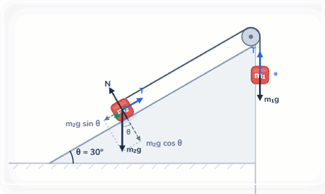 Product image for Interactive Physics Simulations 