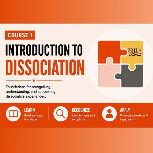 Product image for Introduction to Dissociation