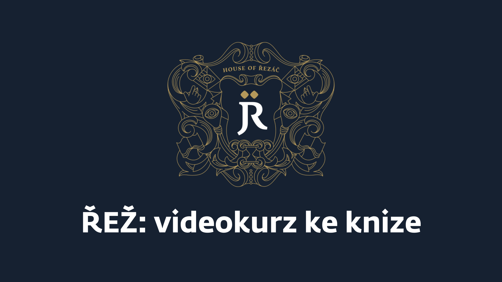 Product image for ŘEŽ: videokurz ke knize