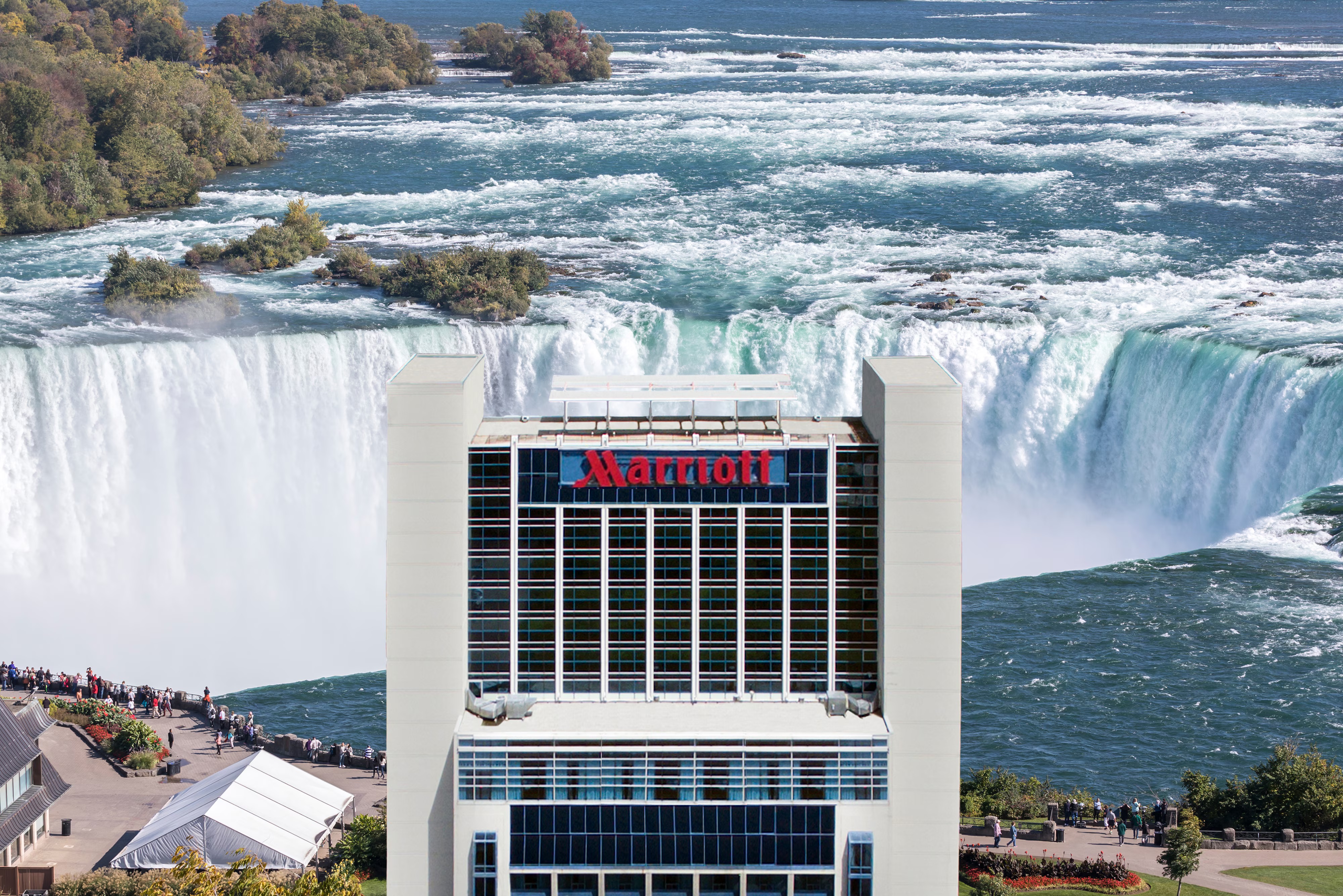Product image for In-Person Symposium ( with online option ) - Marriott on the Falls  - Oct 2026 - Biomechanics of Clear Aligners from Simple Movements to Advanced Applications