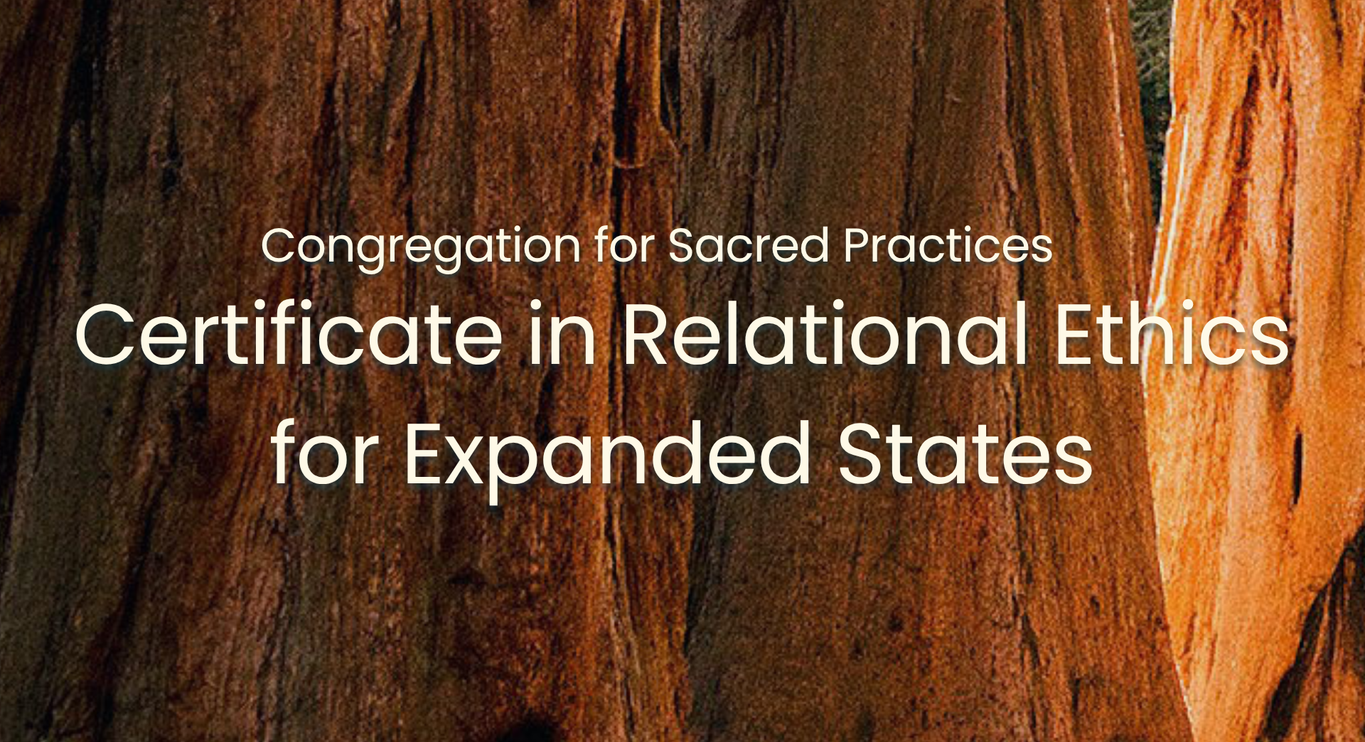 Product image for Relational Ethics Certificate